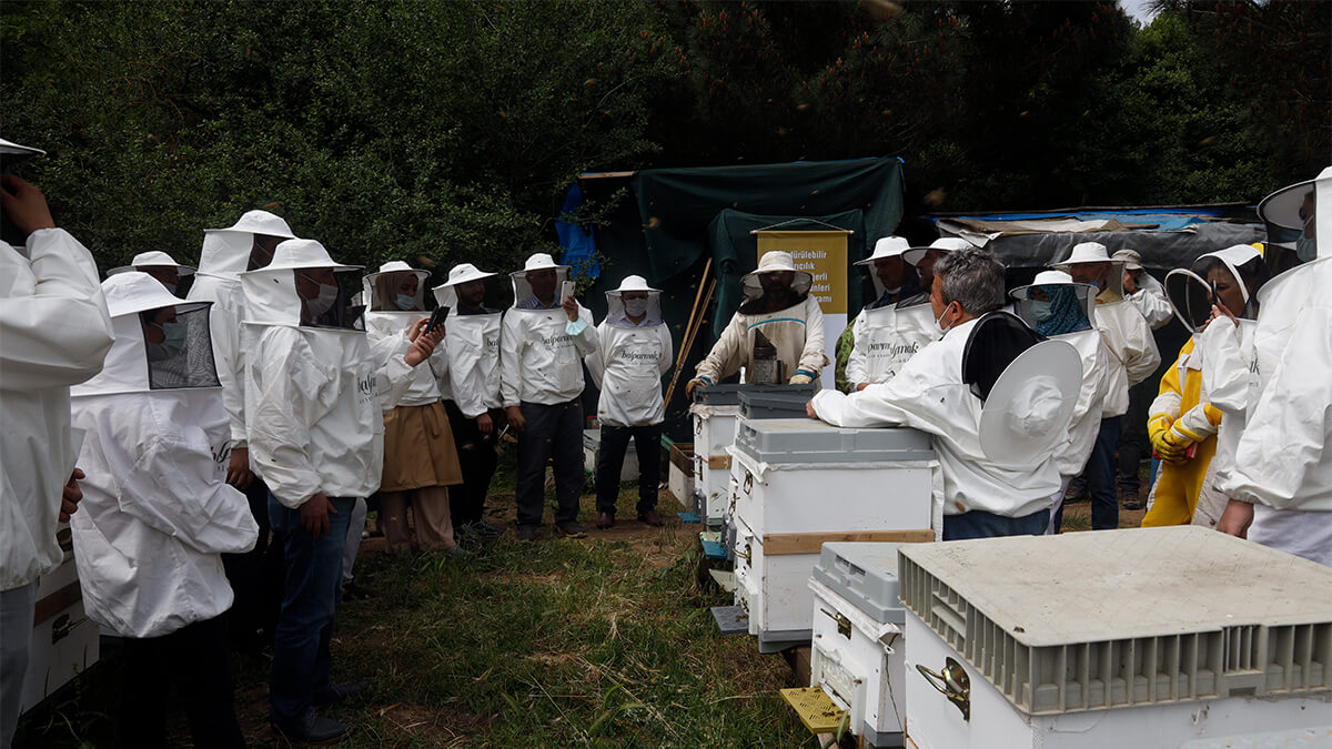 balparmak Arıcılık Akademisi ile İstanbul İli Arı Yetiştiricileri Birliği İstanbul’a Yeni Arıcılar Kazandırdı