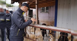 Patili dostlarımızın barınakları Karcher'le mis gibi oldu