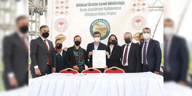 UNO Kavılca Buğdayı Projesi ile hem doğal beslenmeye hem de sürdürülebilir çevreye sahip çıkıyor