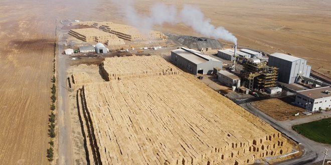 Consus Enerji halka arz yolunda ilk adımı attı