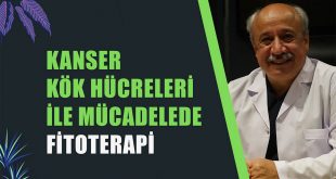 KANSER KÖK HÜCRELERİ İLE MÜCADELEDE FİTOTERAPİ