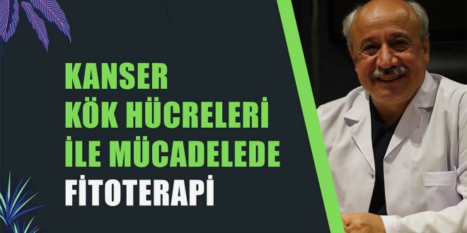 KANSER KÖK HÜCRELERİ İLE MÜCADELEDE FİTOTERAPİ