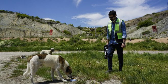 Osmangazi EDAŞ tatil döneminde de sokak hayvanlarını yalnız bırakmadı
