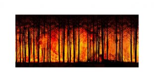 IPCC Uyardı: “İklim Değişikliğini Sınırlandırmak İçin Derhal Harekete Geçilmeli”