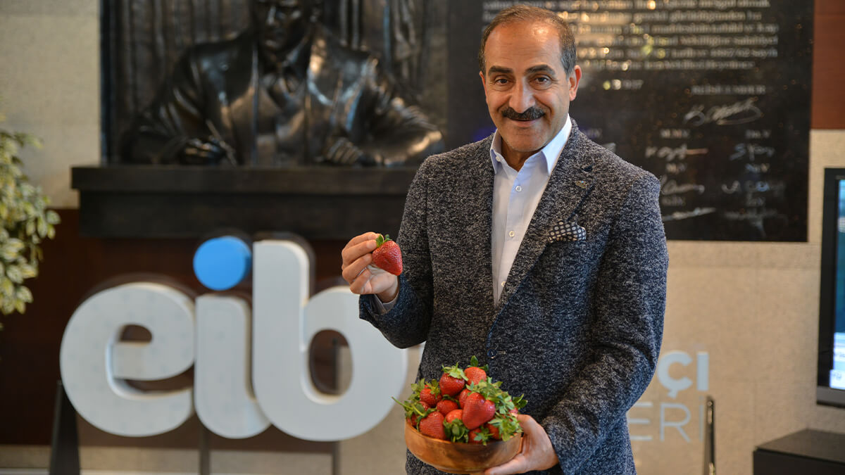 Yaş meyve sebze ihracatı son 12 ayda 3 milyar doları aşarak rekora imza attı