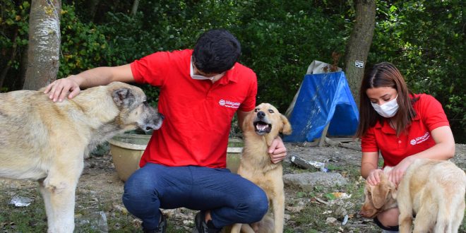 istegelsin’den sokaktaki patili dostlarımıza destek