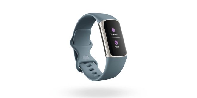 Fitbit Charge 5: Gücü Yeniden Tanımlıyoruz