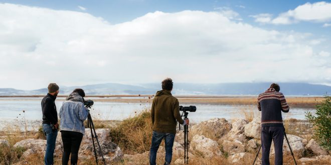 Gediz Deltası: Su kuşlarının vazgeçilmez göç durağı