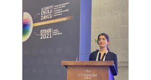 SHURA, ‘Türkiye'de Enerji Dönüşümünü Hızlandıracak Son Kullanıcı Elektrik Fiyatlandırmaları’ Raporunu Açıkladı