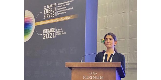 SHURA, ‘Türkiye'de Enerji Dönüşümünü Hızlandıracak Son Kullanıcı Elektrik Fiyatlandırmaları’ Raporunu Açıkladı